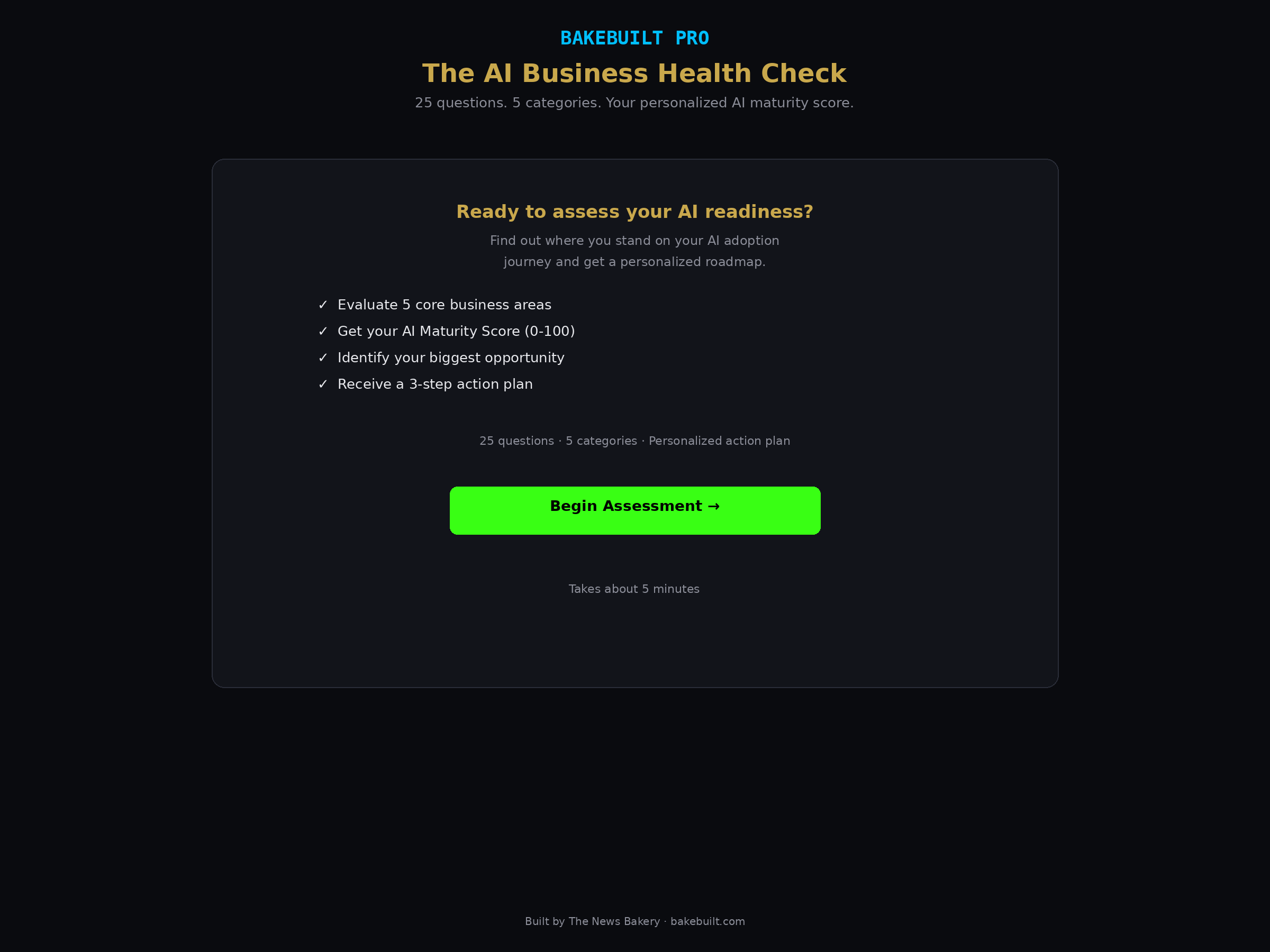 AI Business Health Check — start screen