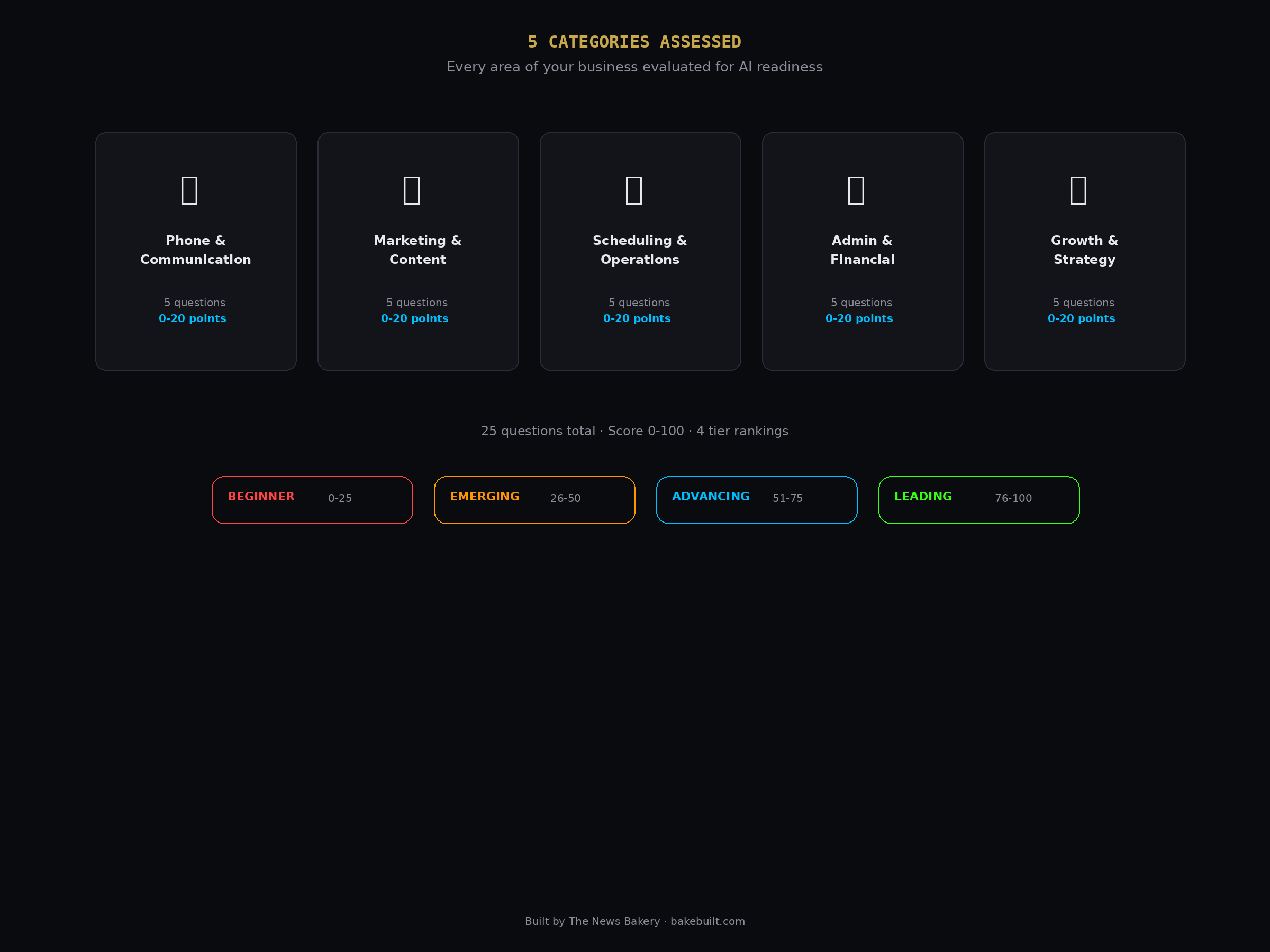 AI Business Health Check — 5 categories